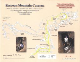 RaccoonMTWildCavernsEchoRoomTourPack51_2016.jpg